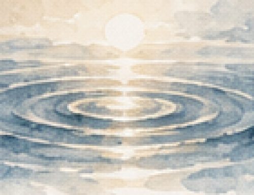 今天的水纹